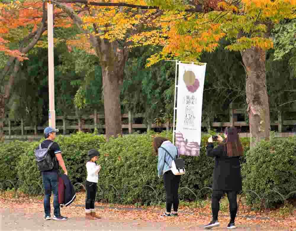 November 13, 2018: Osaka Castle park in autumn season at Osaka, Japan = Shutterstock