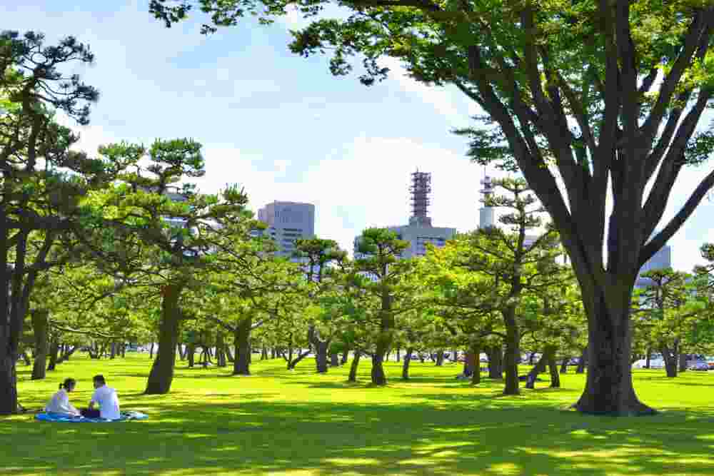 June 18th 2019 : Trees garden next to the Imperial Garden of Tokyo, Japan = Shutterstock