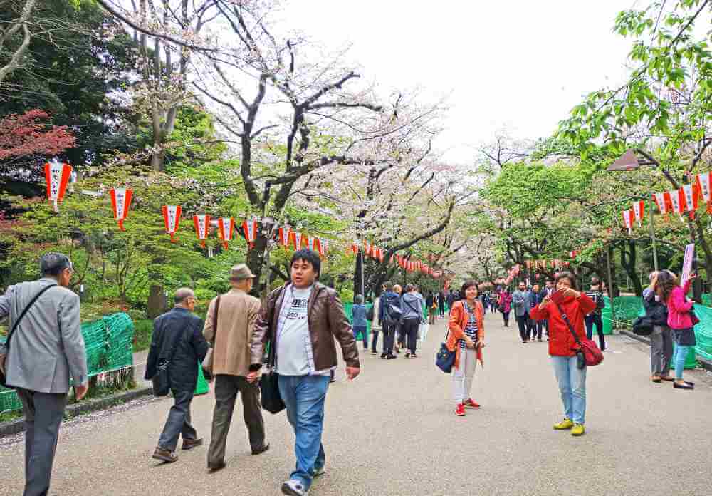 April 14: Ueno Park in spring season with Cherry Blossoms, Tokyo, Japan = Shutterstock