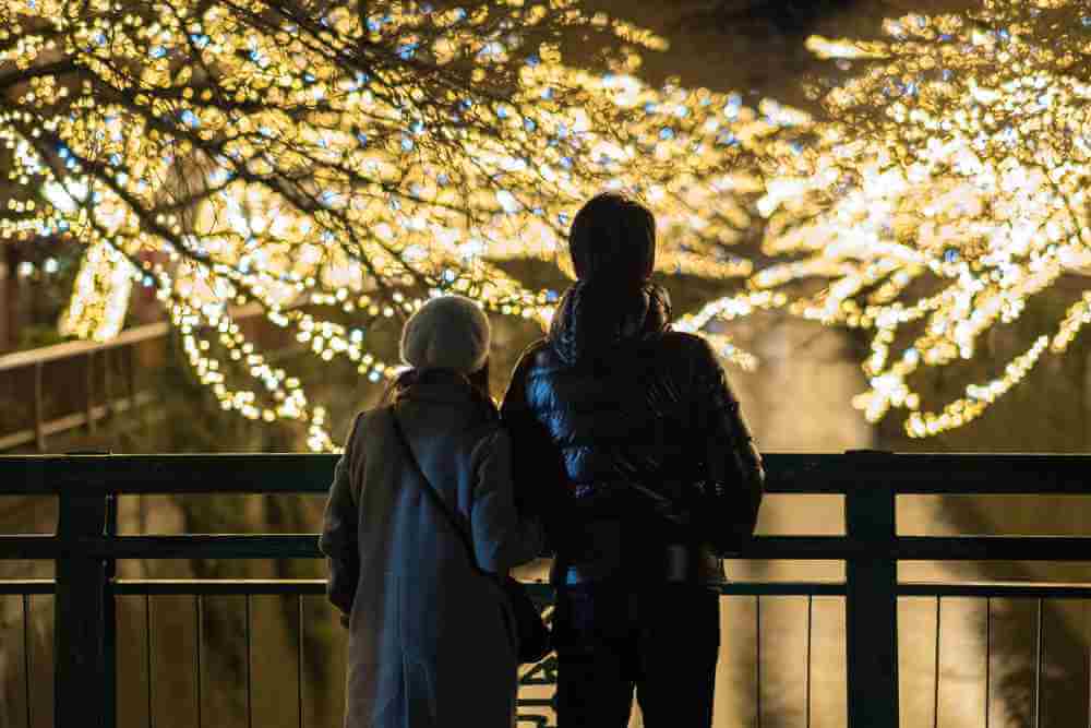 DECEMBER 17TH, 2017. Couple enjoying winter lights illumination display at Meguro river at night, Tokyo, Japan = Shutterstock