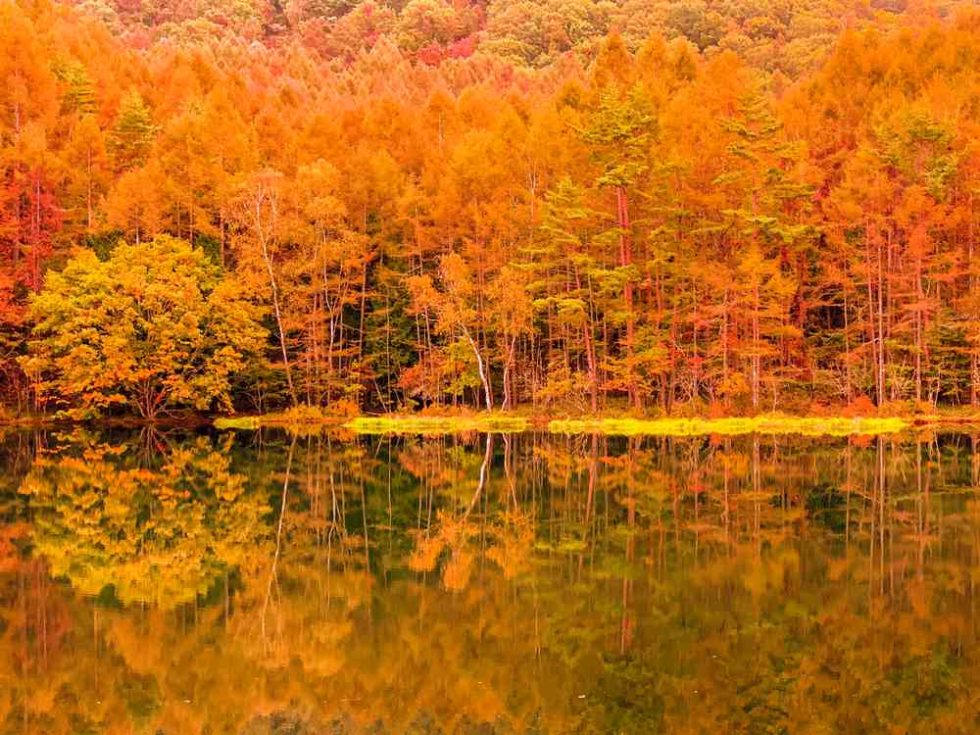 Mishakaike: Japan’s most beautiful pond which attracted Kaii ...