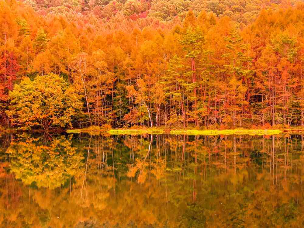 Mishaiaike Pond in autumn4