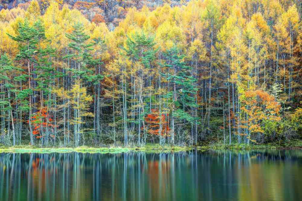Mishakaike Pond in autumn1