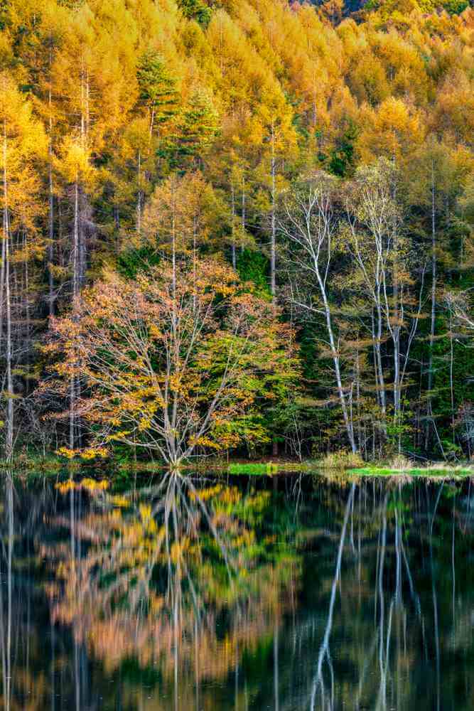Mishakaike Pond in autumn2