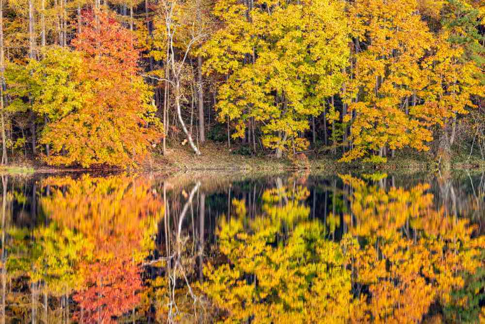 Mishakaike Pond in autumn3