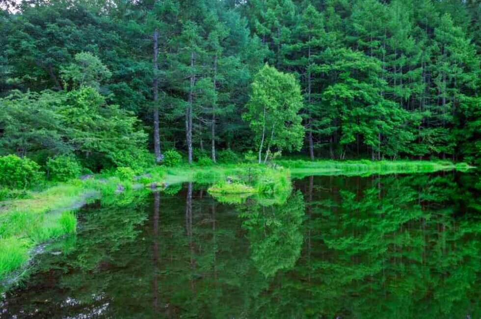 Mishakaike: Japan’s most beautiful pond which attracted Kaii ...