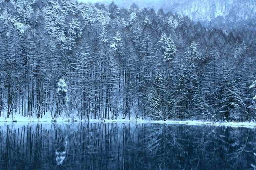 Mishakaike Pond in winter
