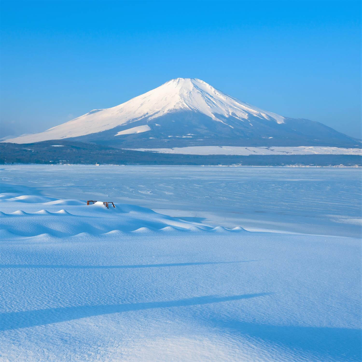 Photos: Mt. Fuji covered with snow | JAPANICLE