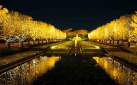 Night view in Showa Memorial Park = AdobeStock