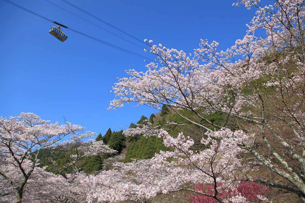 It takes about 10 minutes to reach the top of Mt. Tsurumi by Beppu Ropeway