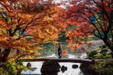 The Rikugien Garden is one of the most famous traditional Japanese garden in Tokyo = Shutterstock