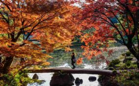 The Rikugien Garden is one of the most famous traditional Japanese garden in Tokyo = Shutterstock