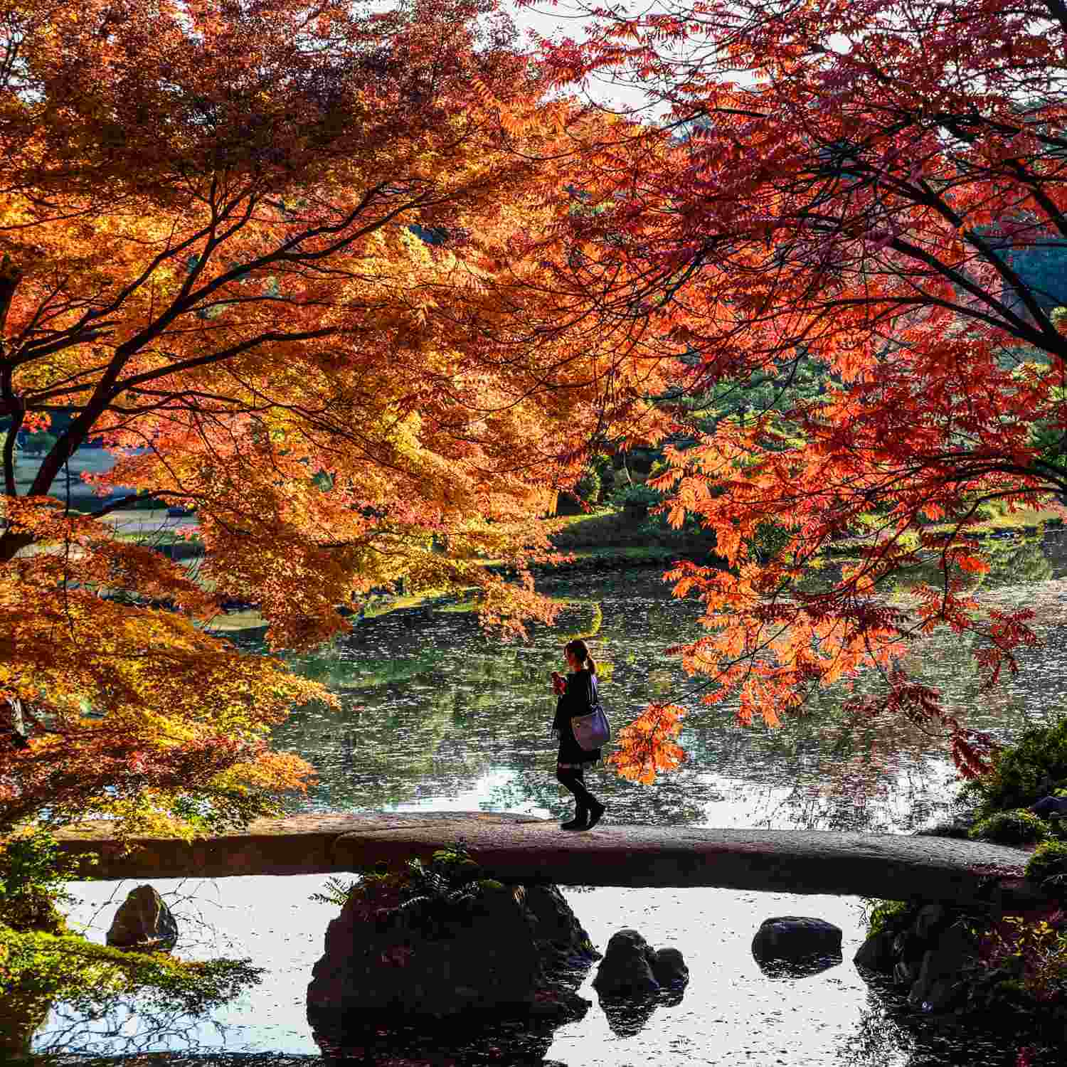 Rikugien Garden in Tokyo = Shutterstock1