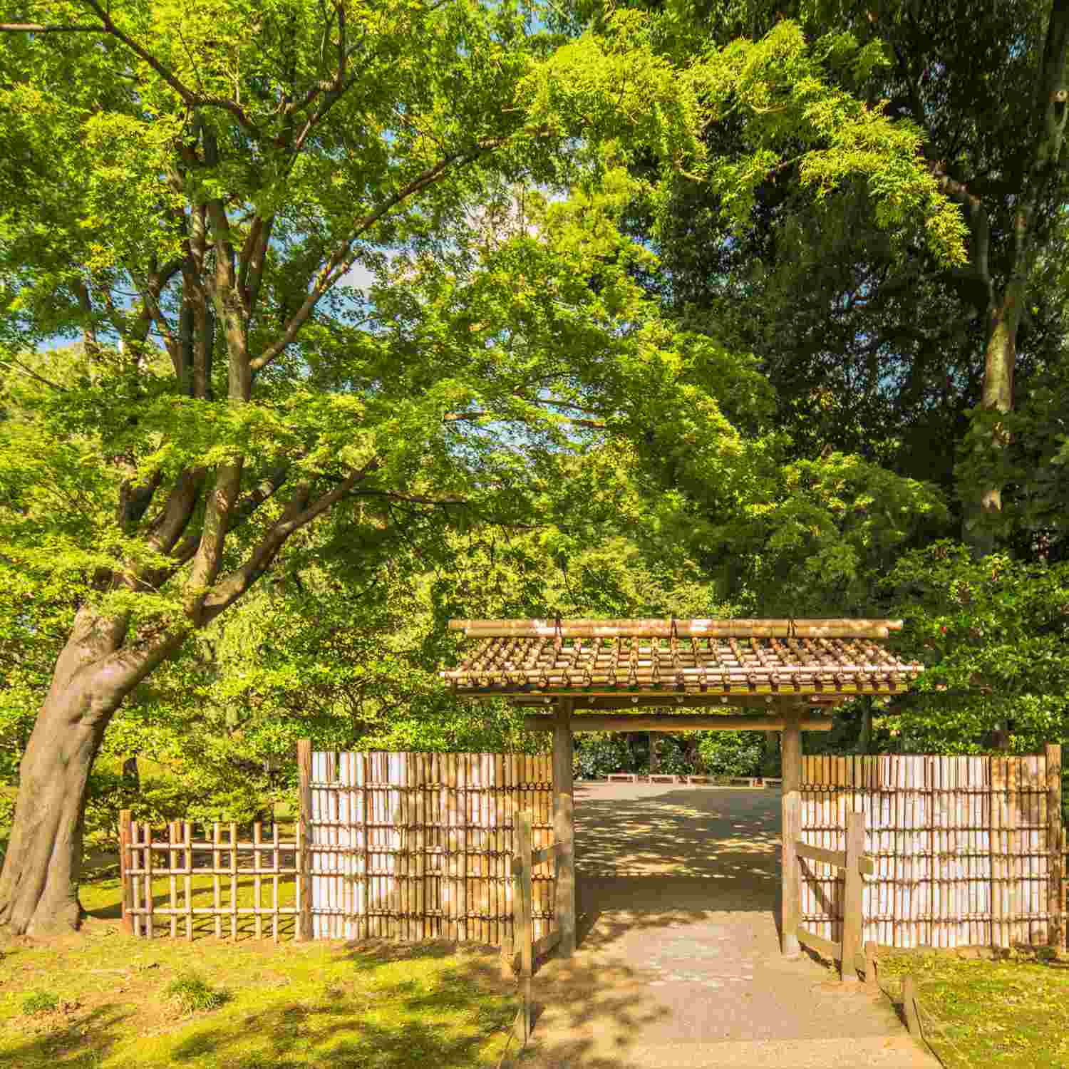 Rikugien Garden in Tokyo = Shutterstock4