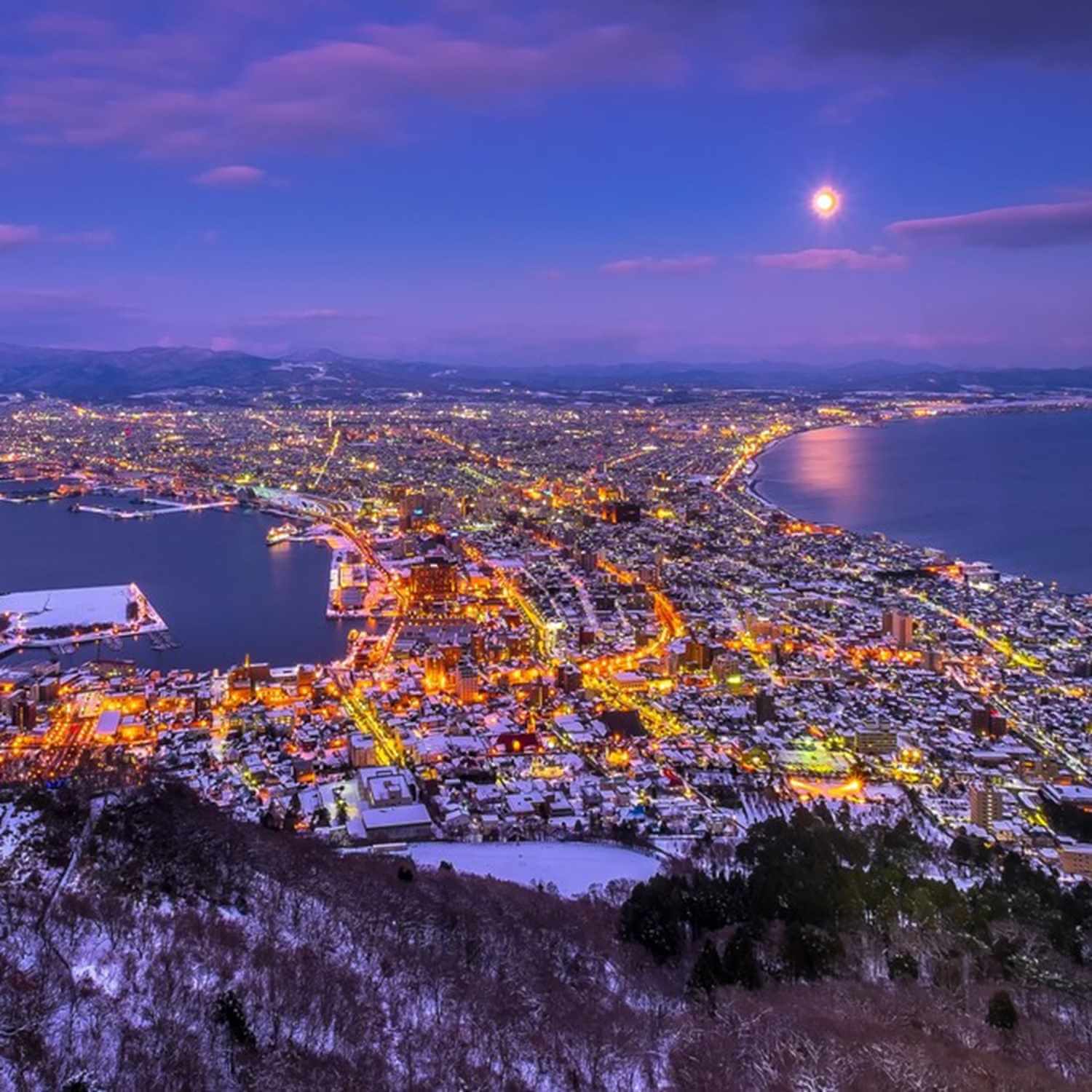 Night view from Mt. Hakodate = Shutterstock