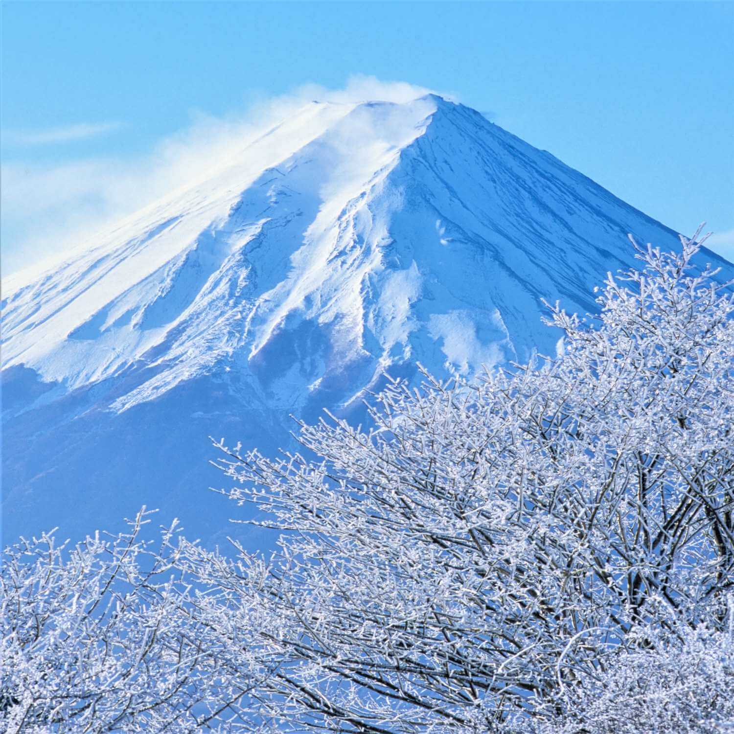 Snow-covered Mt. Fuji 6