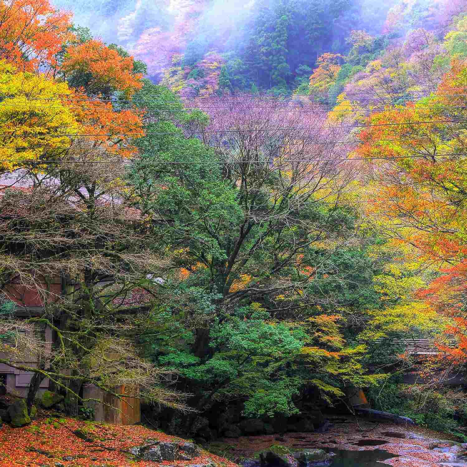 Kikuchi Keikoku (Kikuchi Gorge) in Kumamoto Prefecture= Shutterstock10