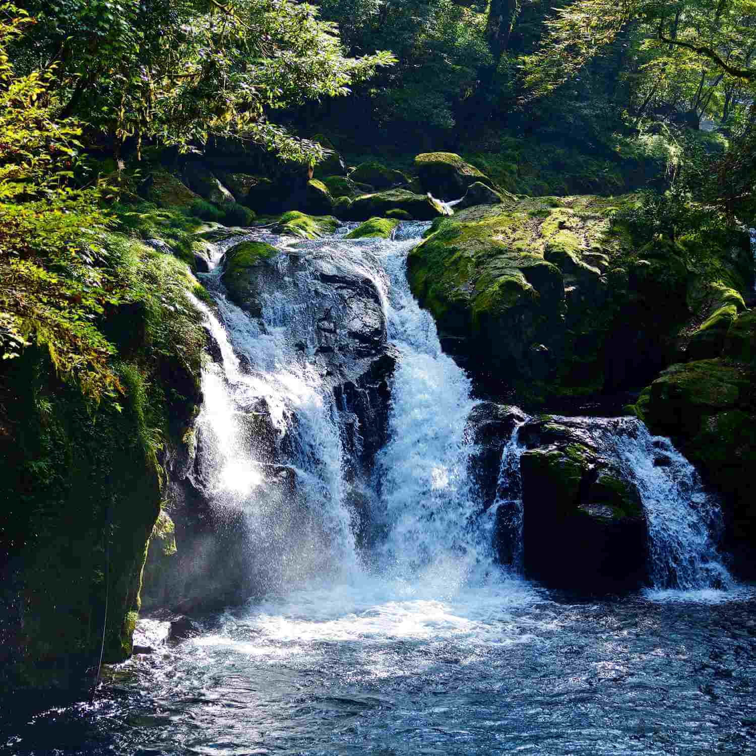 Kikuchi Keikoku (Kikuchi Gorge) in Kumamoto Prefecture= Shutterstock6