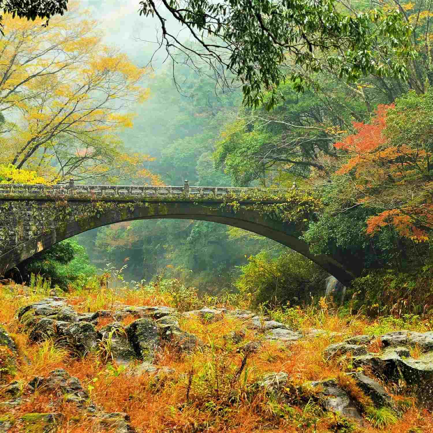 Kikuchi Keikoku (Kikuchi Gorge) in Kumamoto Prefecture= Shutterstock8