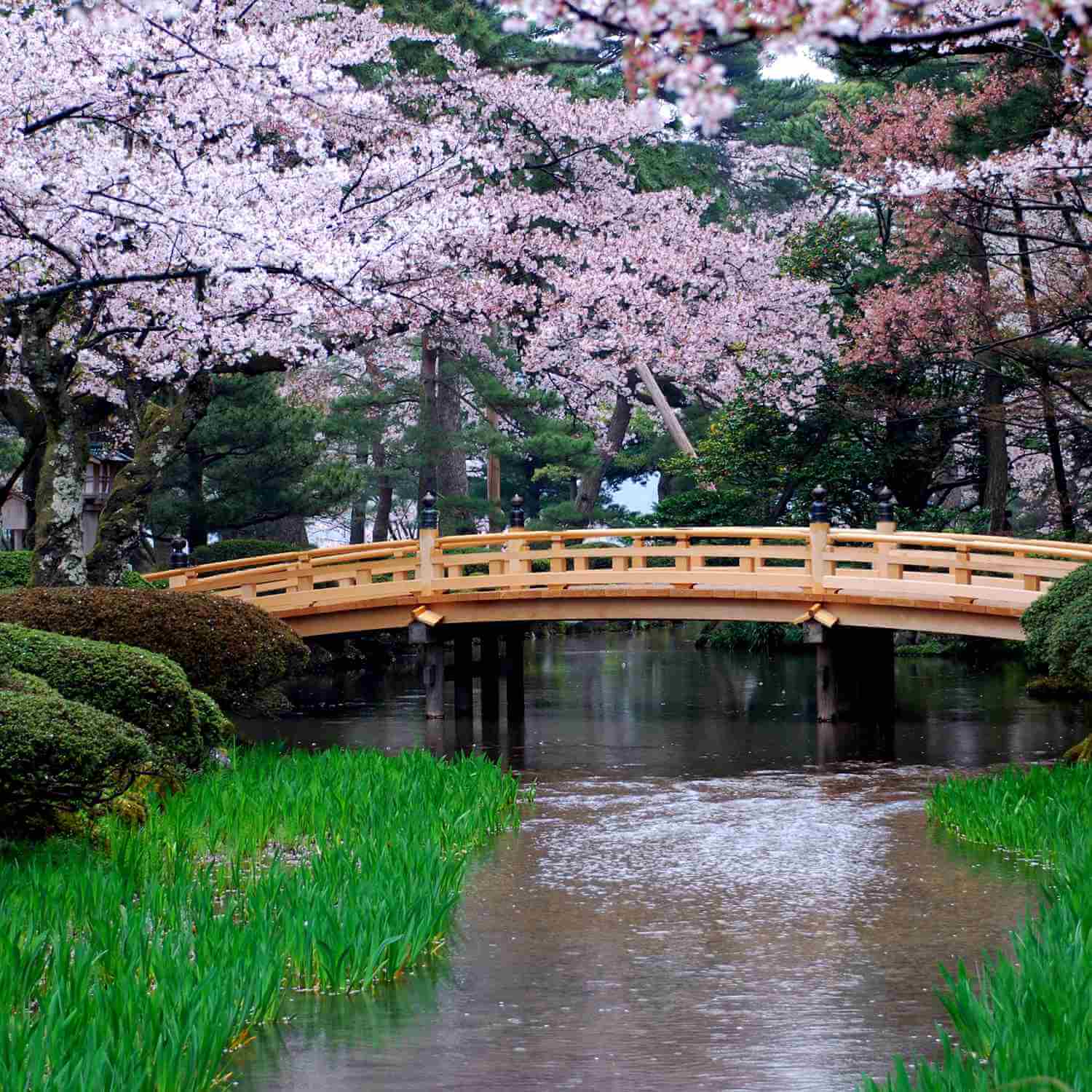 Scenery in Kanazawa, Ishikawa Prefecture = Shutterstock 8
