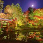 Kodaiji Temple in Kyoto = Shutterstock 1