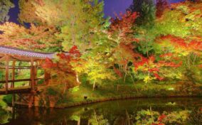 Kodaiji Temple in Kyoto = Shutterstock 1