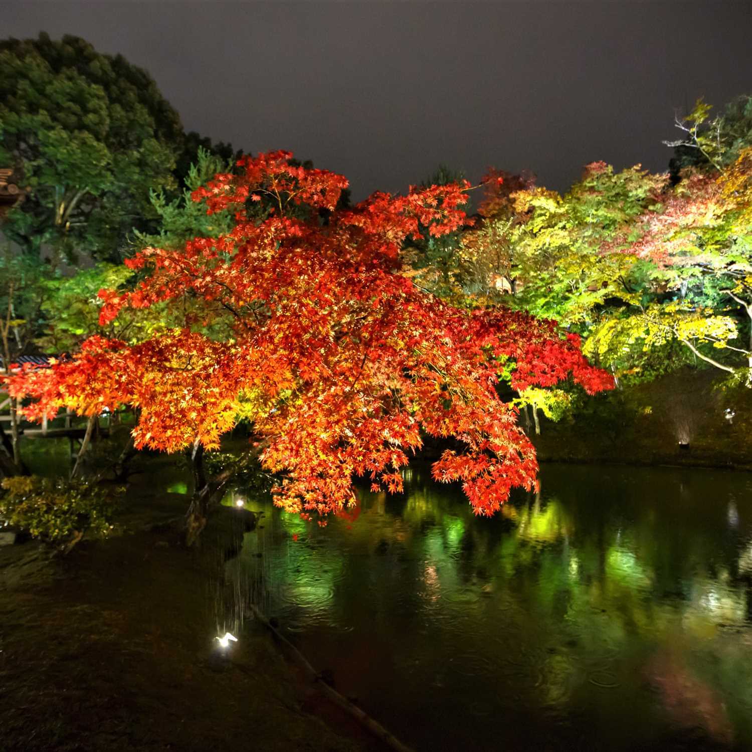 Kodaiji Temple in Kyoto = Shutterstock 10