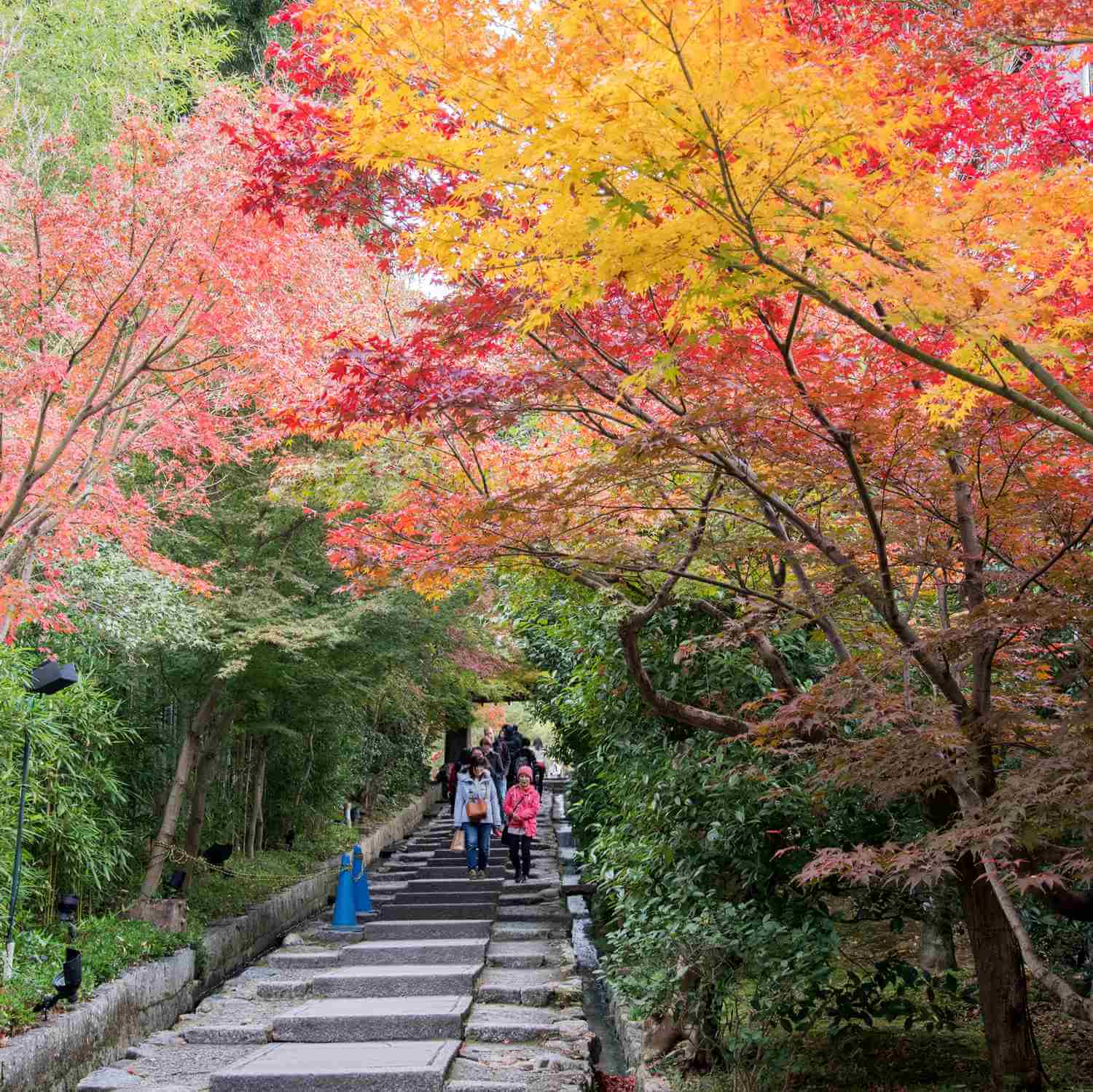 Kodaiji Temple in Kyoto = Shutterstock 2