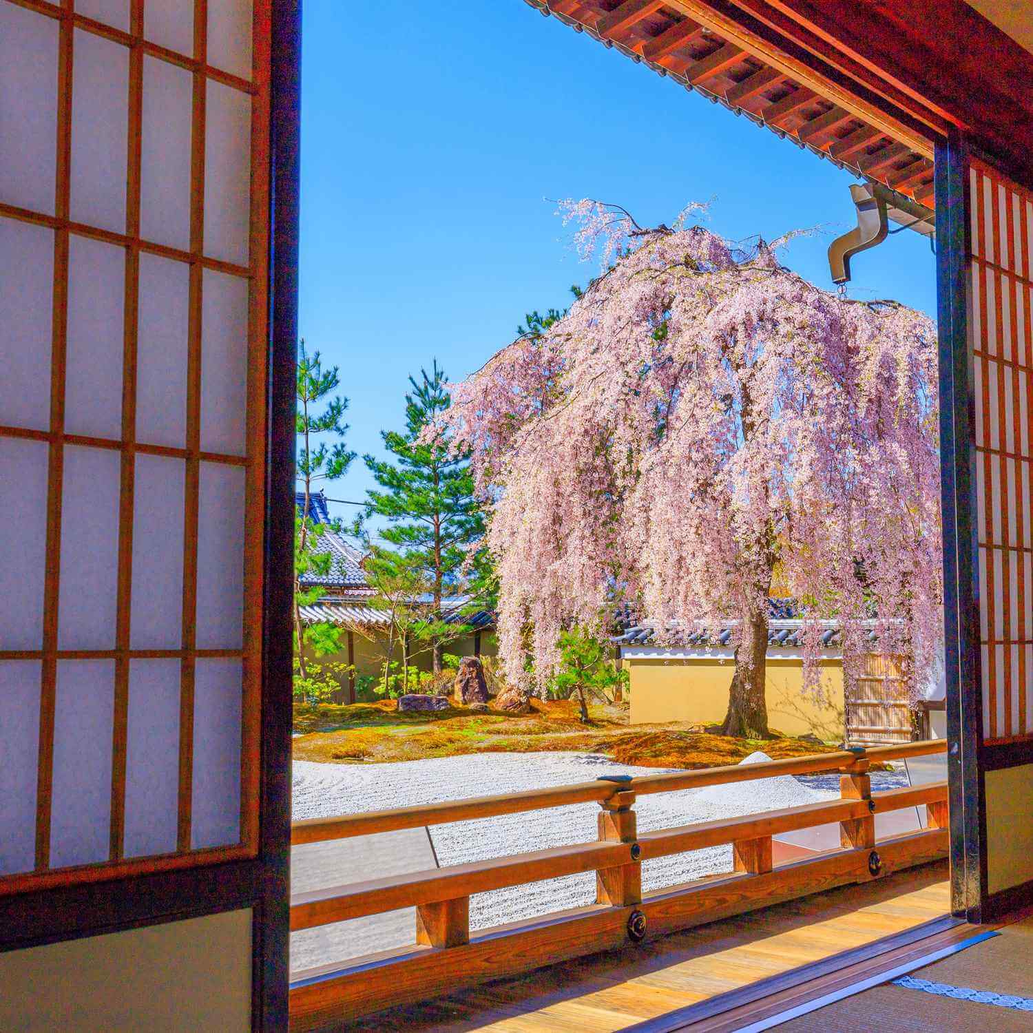 Kodaiji Temple in Kyoto = Shutterstock 4