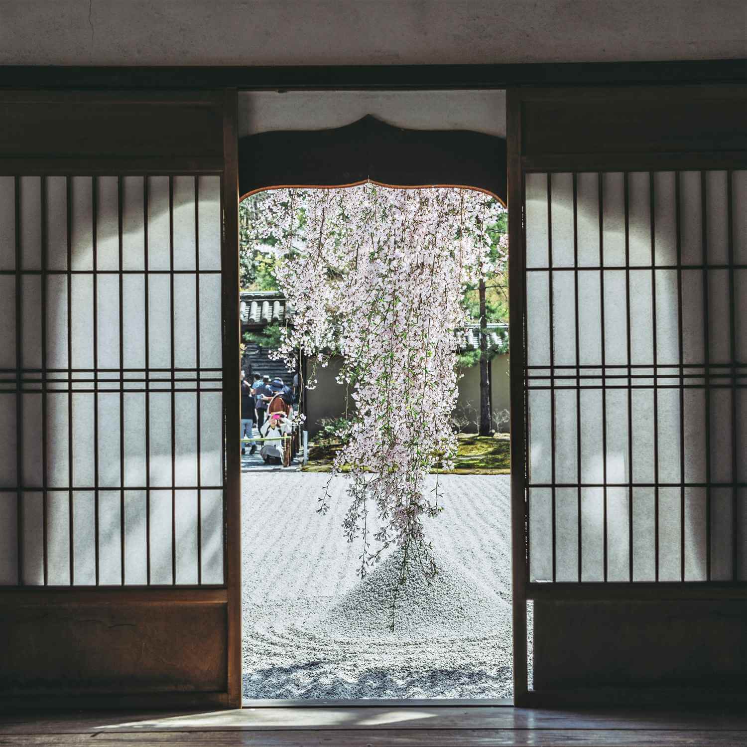 Kodaiji Temple in Kyoto = Shutterstock 5