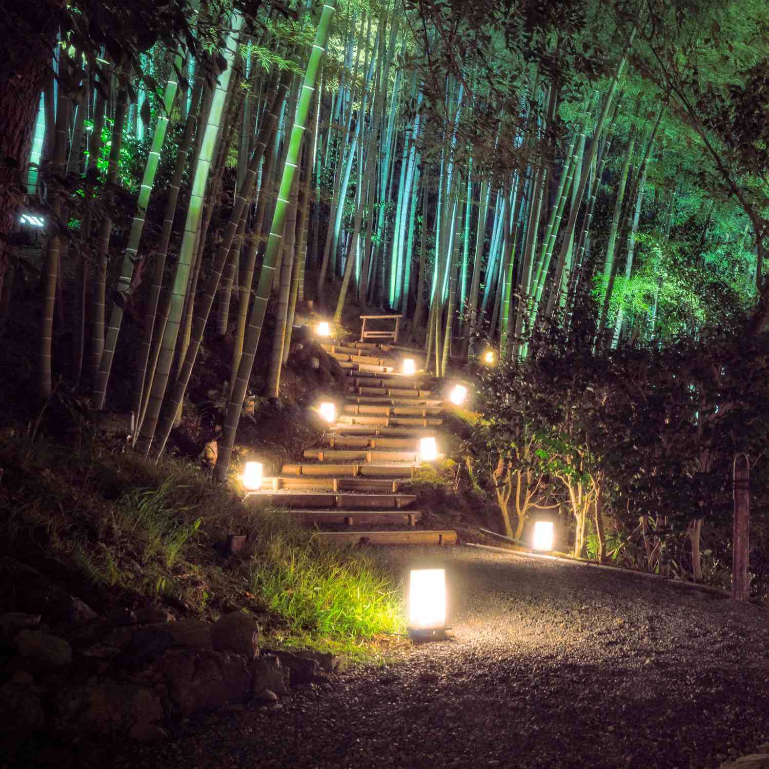 Kodaiji Temple in Kyoto = Shutterstock 8