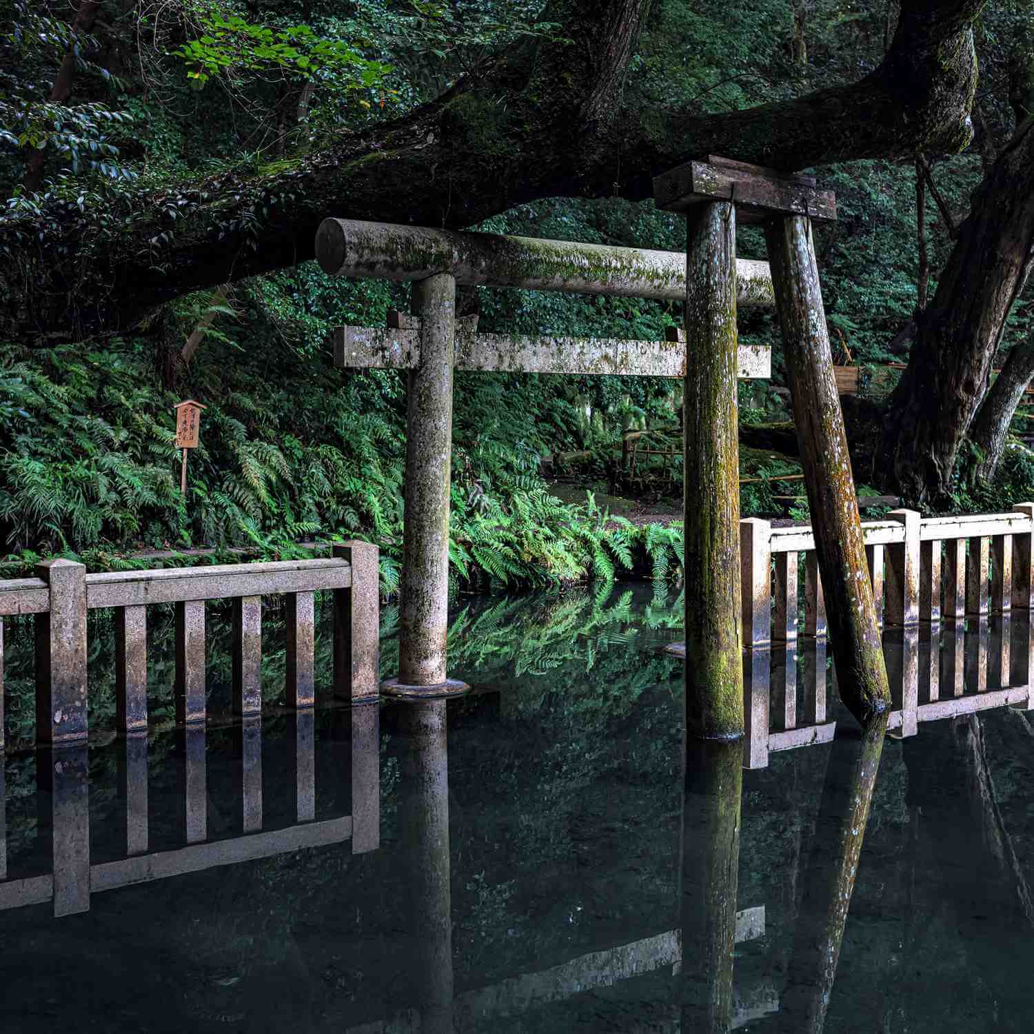 Kashima-jingu Shrine in Ibaraki Prefecture10
