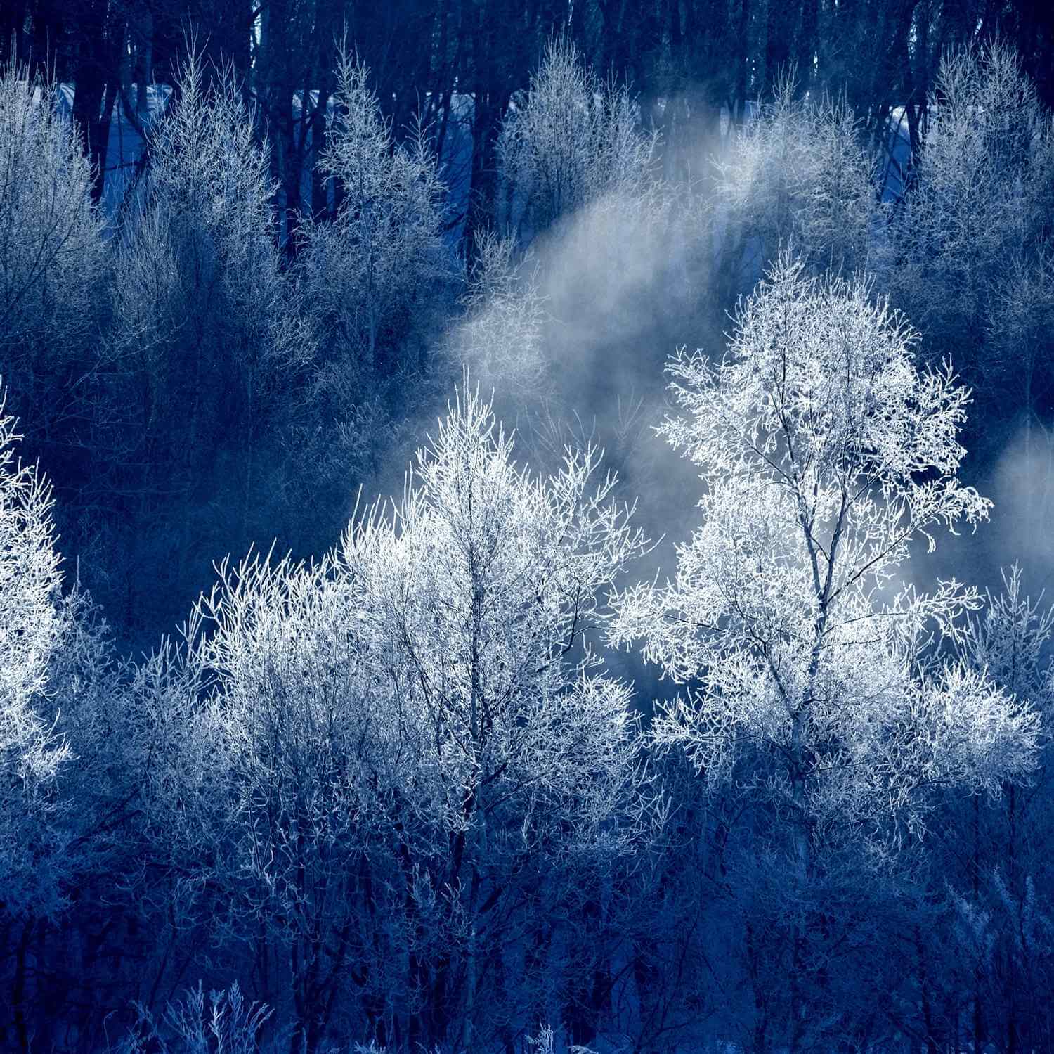 Photos: Winter landscape in Hokkaido | JAPANICLE