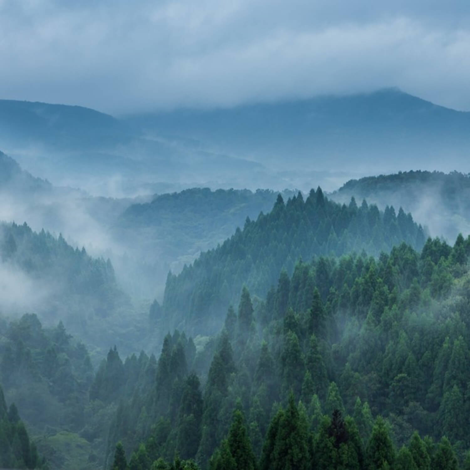 Photos: Rainy days in Japan -Rainy seasons are June, September and ...