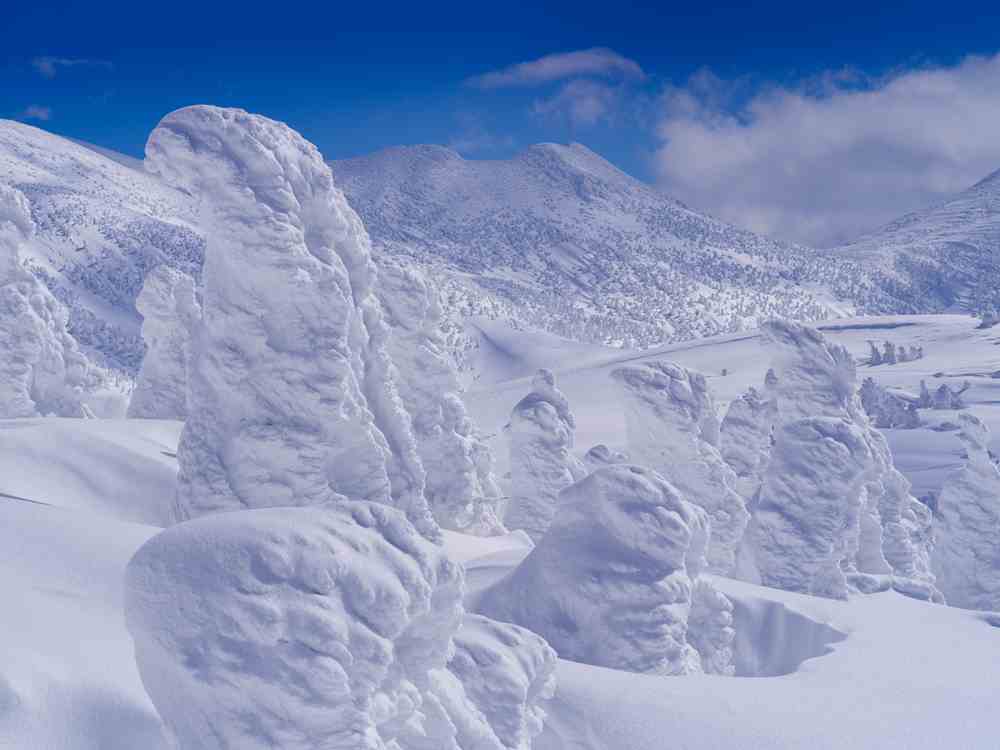 Hakkoda mountain in heavy snowfall, Aomori Prefecture, Japan = Shutterstock