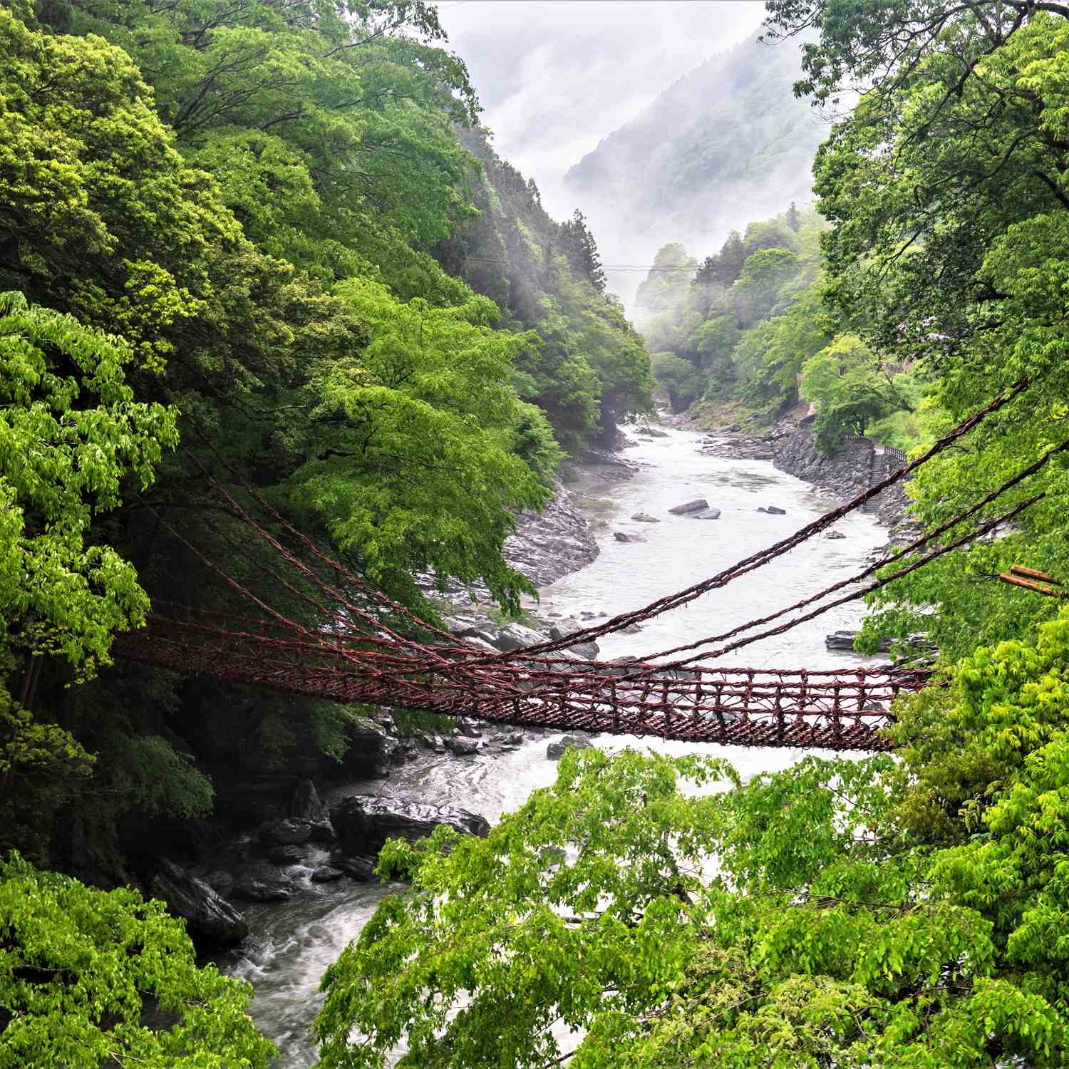 Iya Kazura Bridge in Tokushima, Shikoku = Shutterstock 10