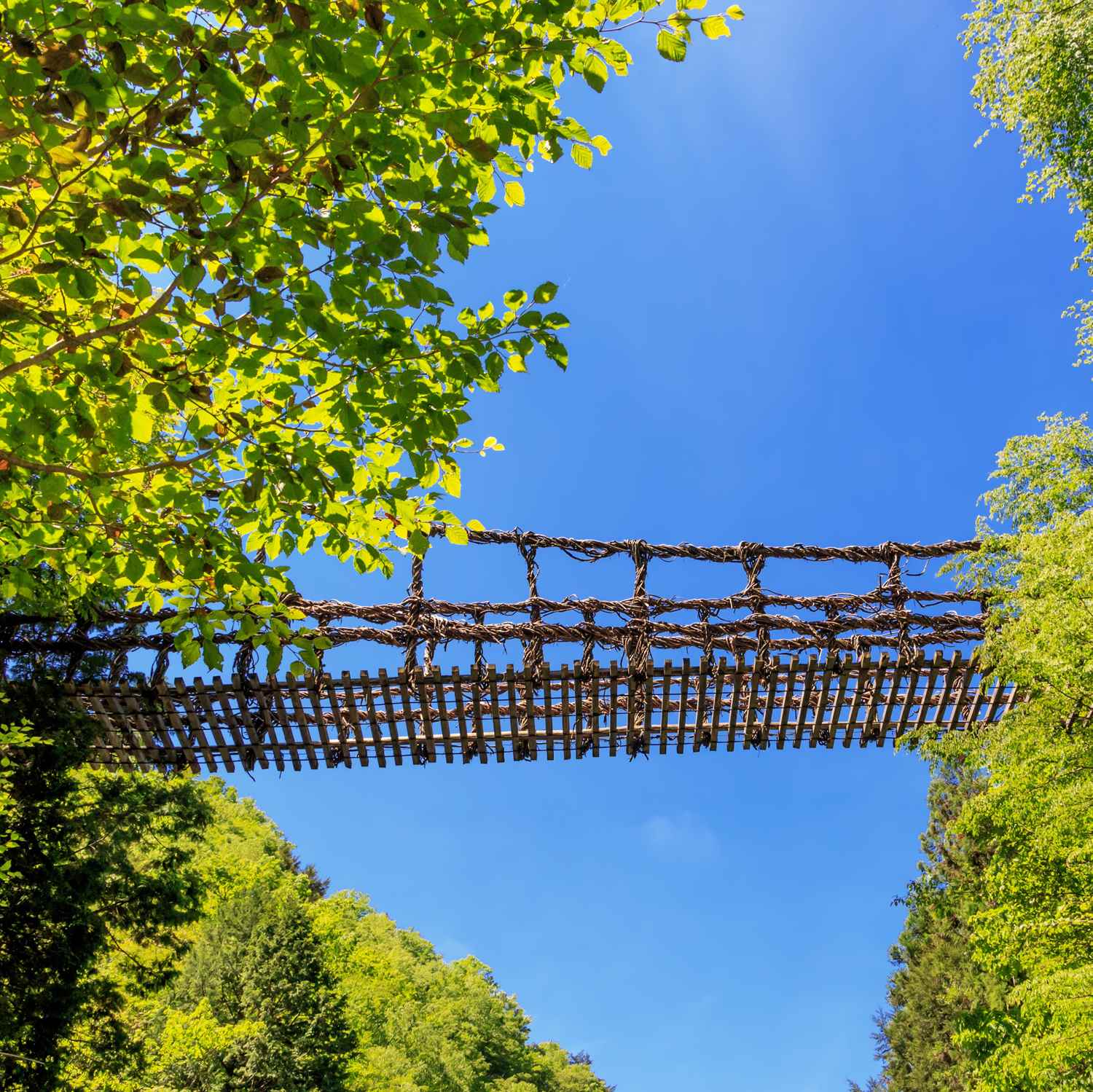 Iya Kazura Bridge in Tokushima, Shikoku = Shutterstock 7