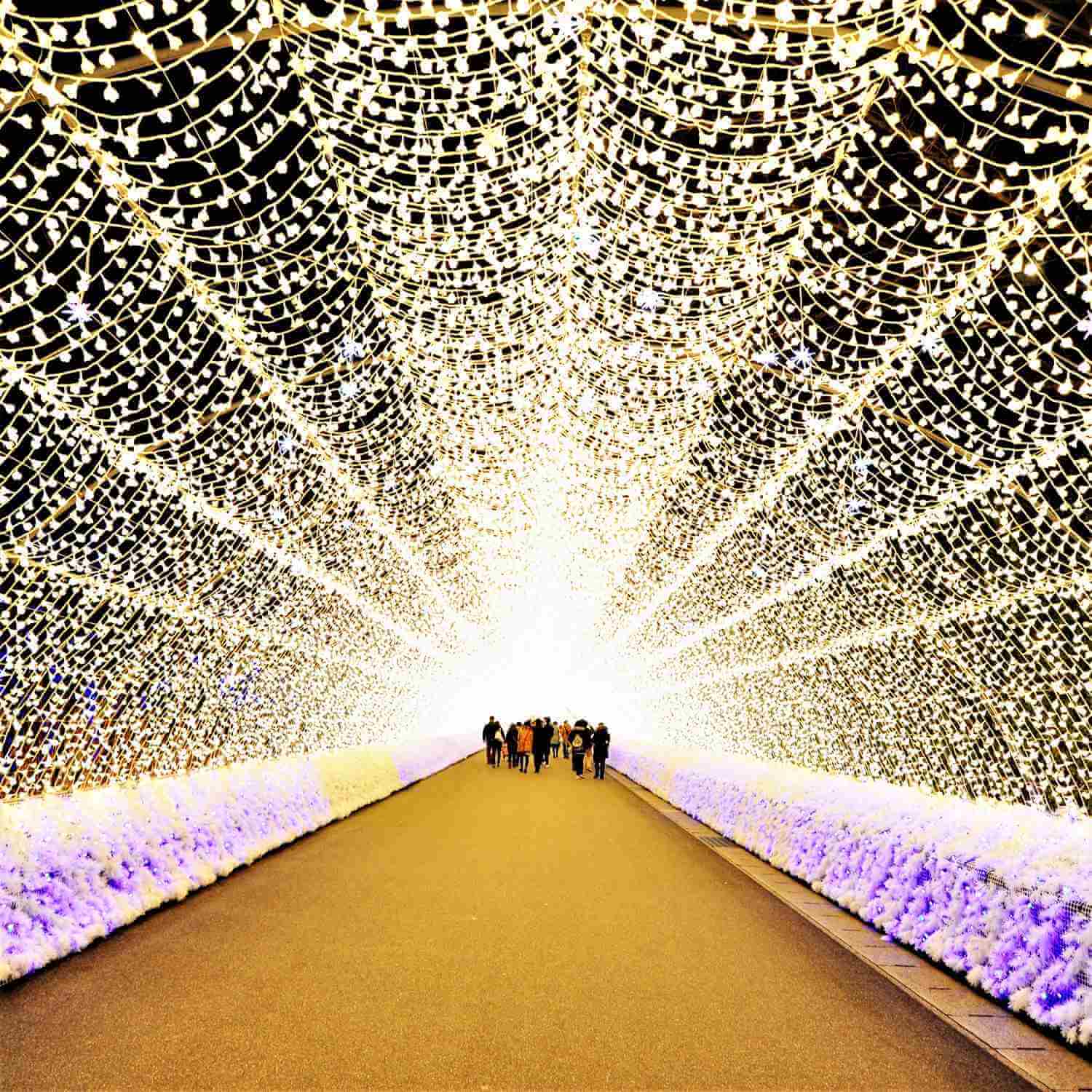 Nabana no Sato's illumination = Shutterstock 5
