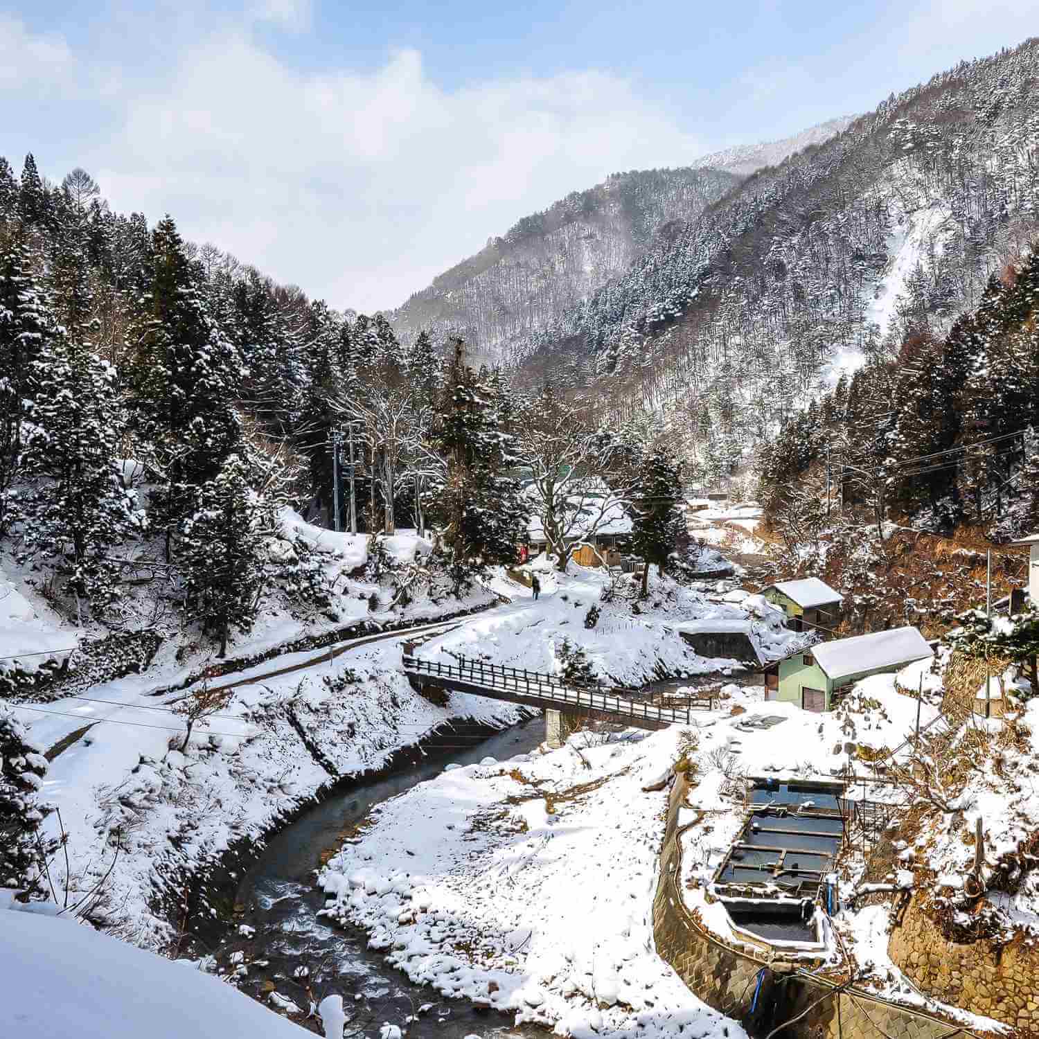 Snow Monkeys at Jigokudani Yaen-koen, Nagano Prefecture=Shutterstock 1