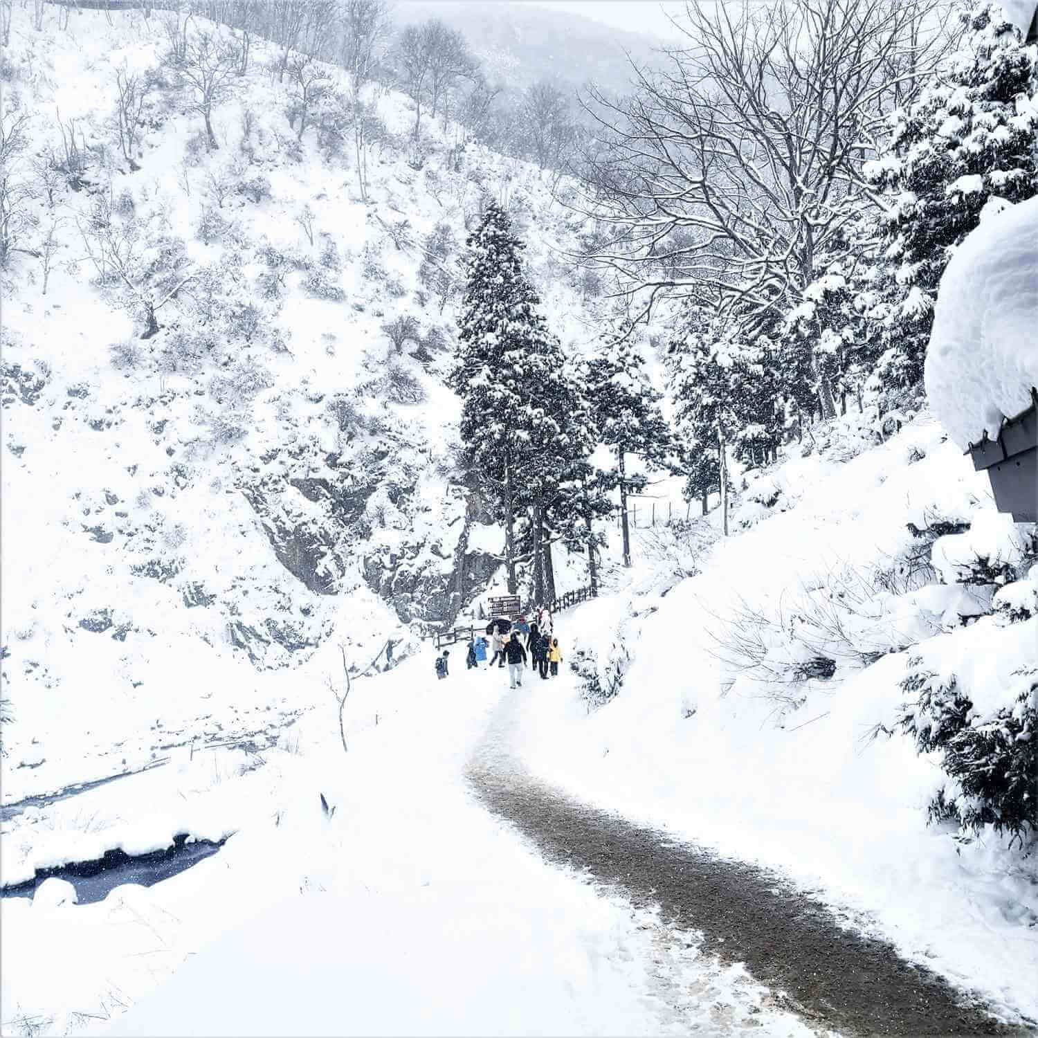 Snow Monkeys at Jigokudani Yaen-koen, Nagano Prefecture=Shutterstock 2