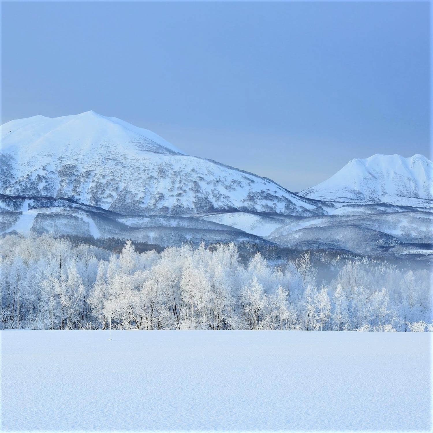 Winter at Niseko Ski Resort in Hokkaido = Pixta 5