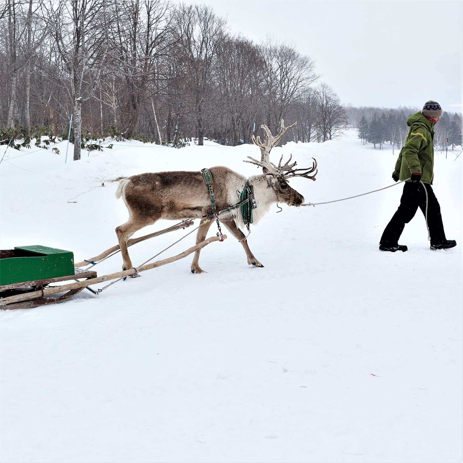 Winter at Niseko Ski Resort in Hokkaido = Shutterstock 6