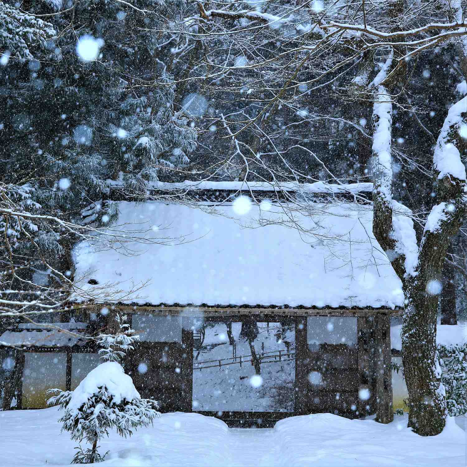 Chusonji in winter, Hiraizumi, Iwate Prefecture = Shutterstock 2