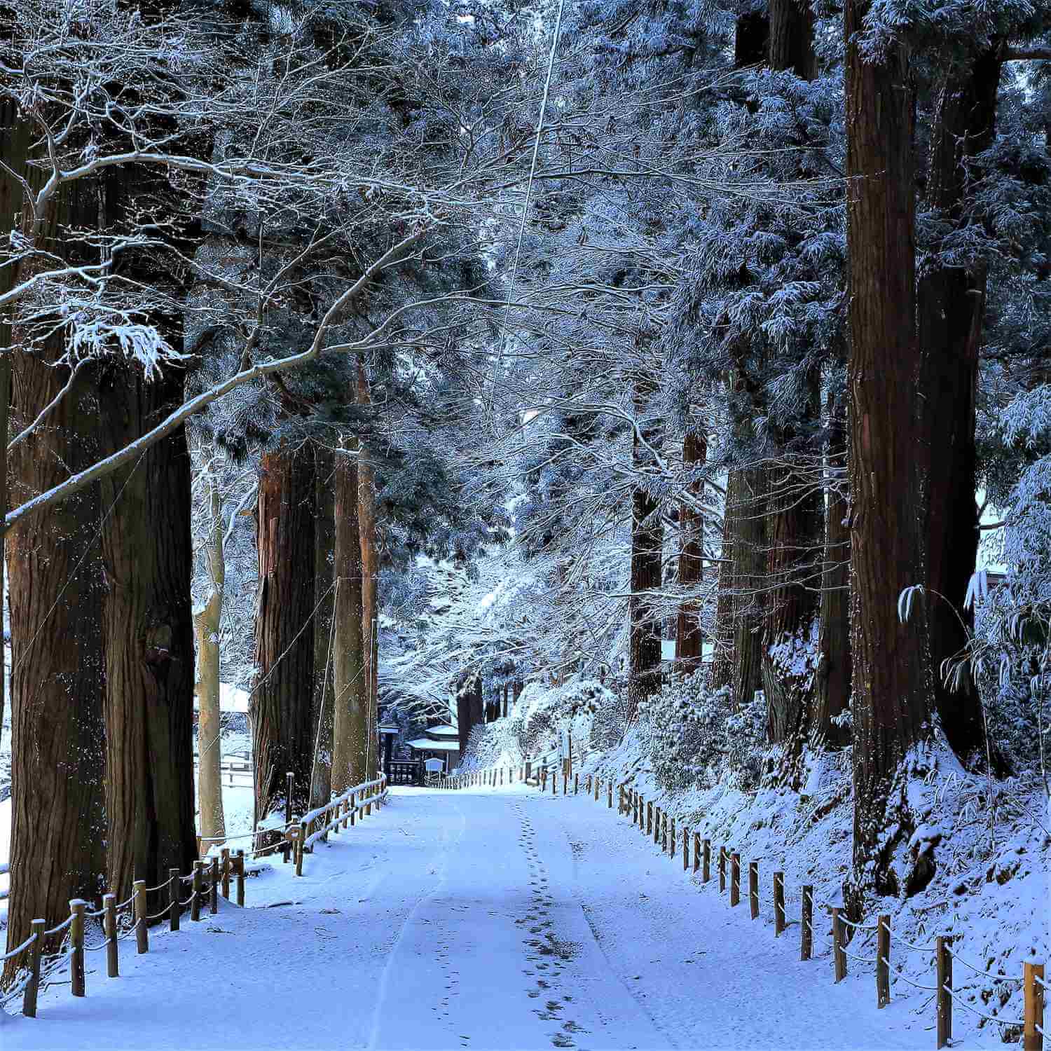 Chusonji in winter, Hiraizumi, Iwate Prefecture = Shutterstock 3