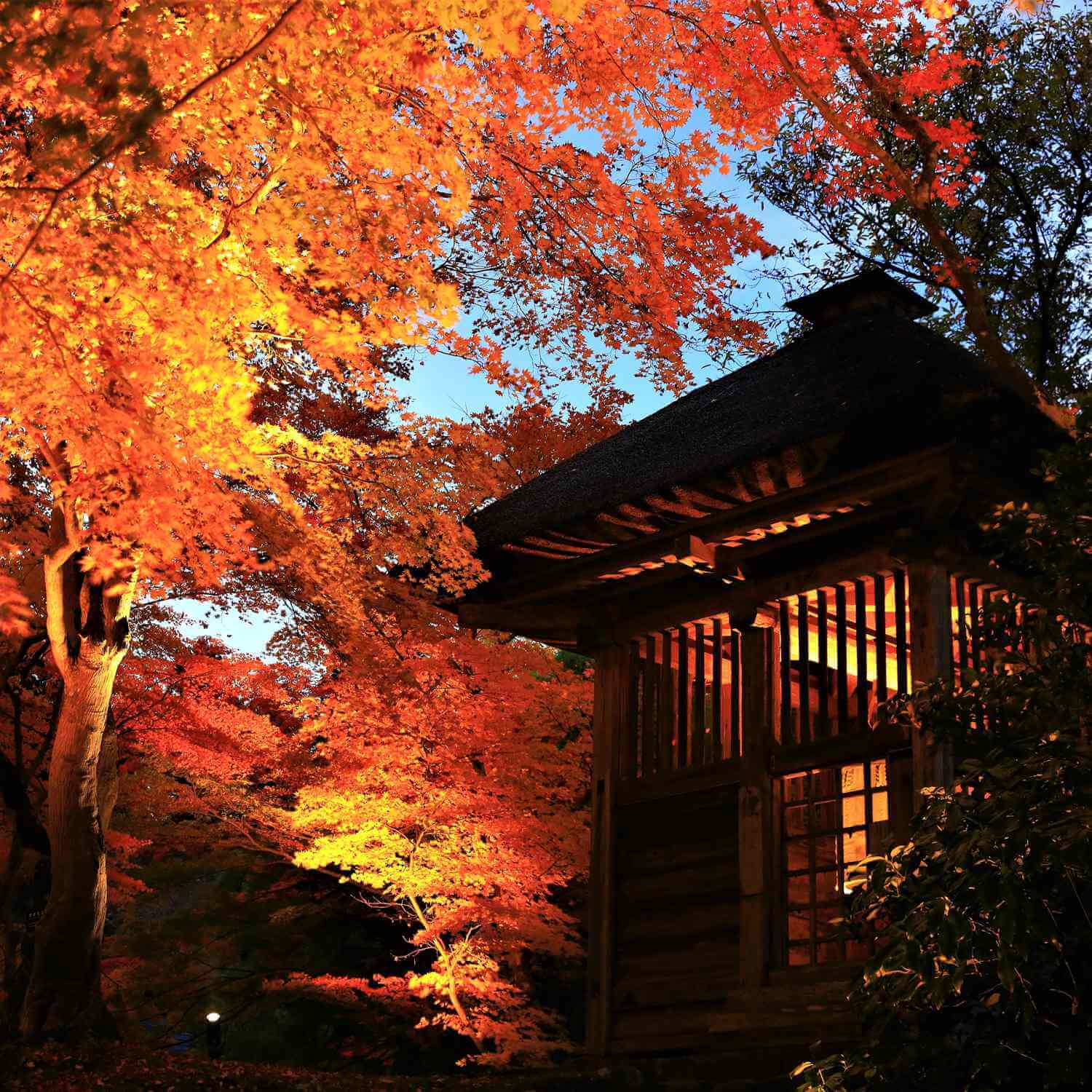 Chusonji in autumn, Hiraizumi, Iwate Prefecture = Shutterstock 4