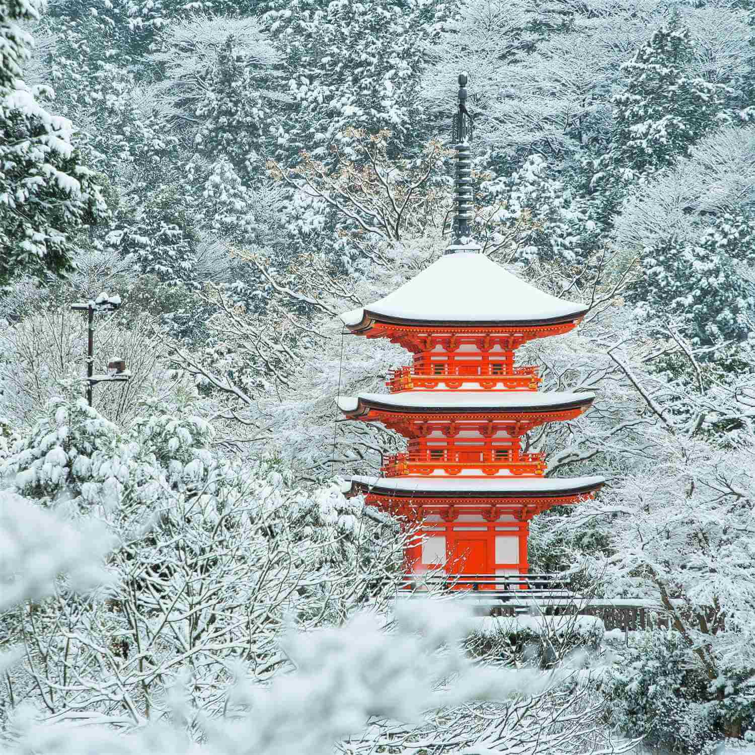 Kiyomizudera Temple covered with snow = Shutterstock