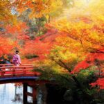 Autumn Leaves in Kyoto = Shutterstock 1