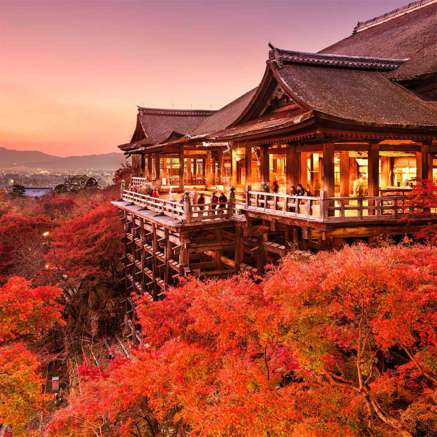 Autumn Leaves in Kyoto = Shutterstock 5