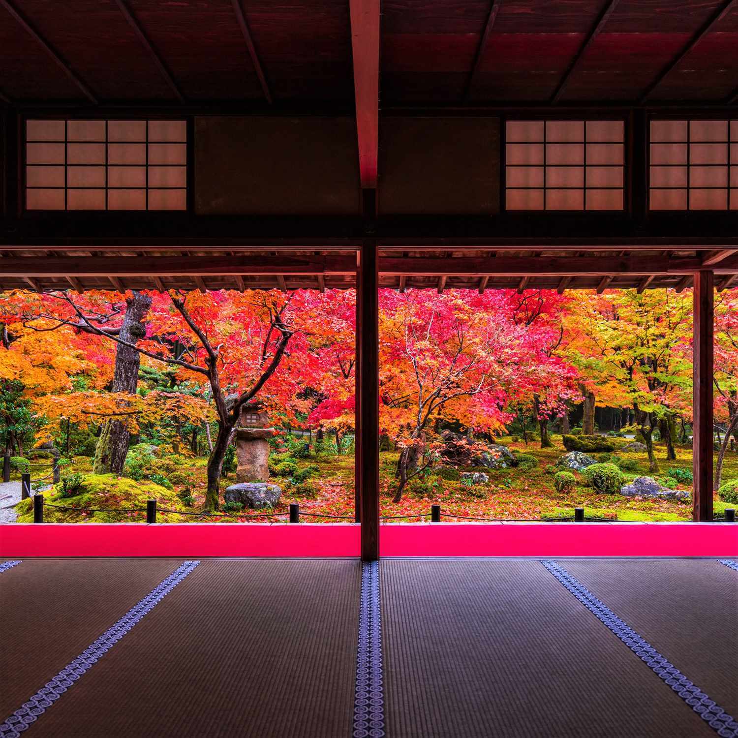 Autumn Leaves in Kyoto = AdobeStock 6
