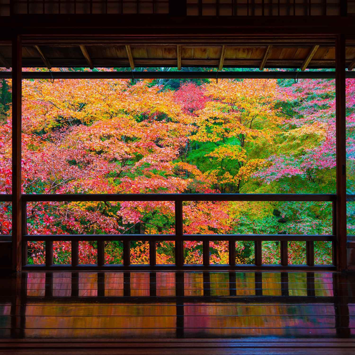 Autumn Leaves in Kyoto = AdobeStock 7